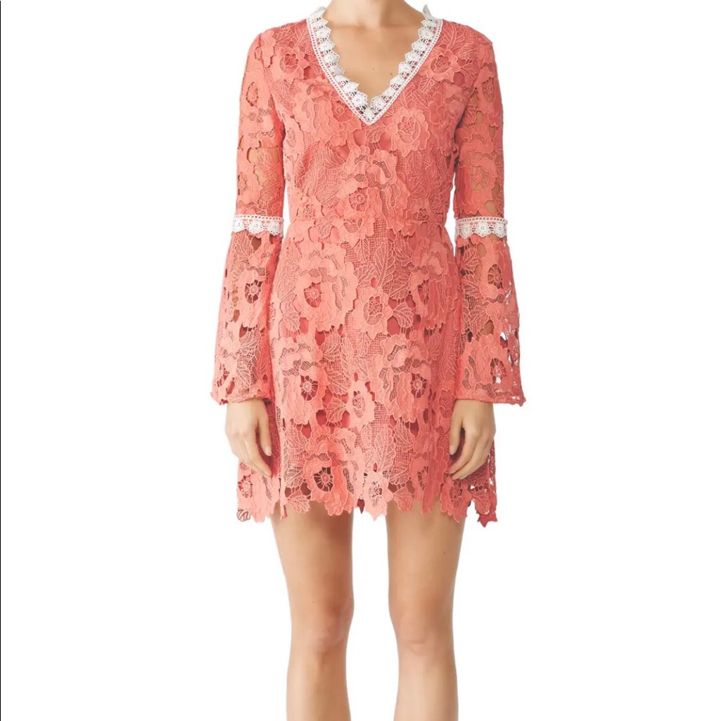 Alexia Admor Pink Contrast Lace Dress. Like New Condition. Backless.
